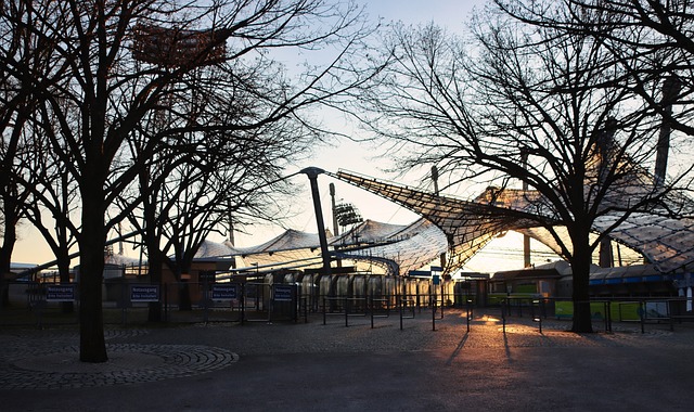 中尽可能多 中尽可能多