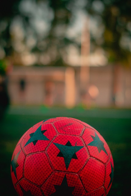 我们可以感 我们可以感