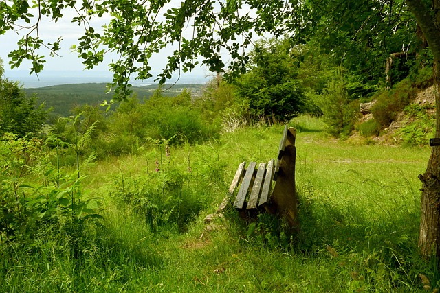员的凝聚力 员的凝聚力