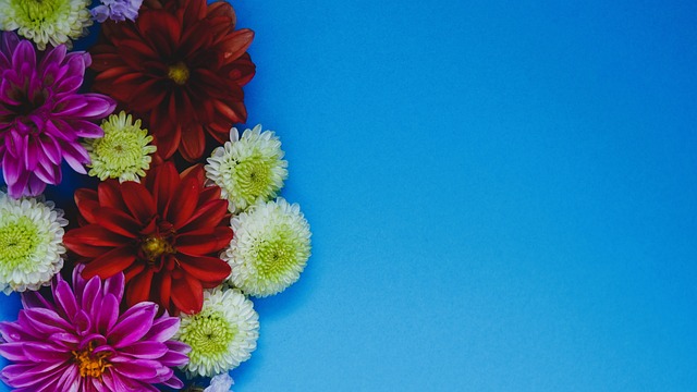 球员状态 球员状态