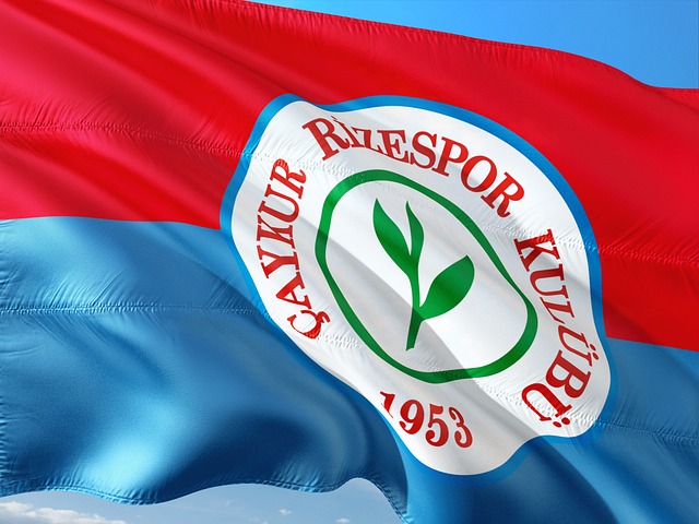 在对阵灰熊 在对阵灰熊