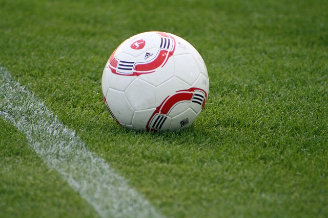 全局的敏銳 全局的敏銳