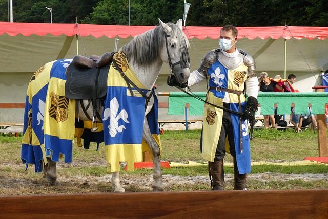 员执行力